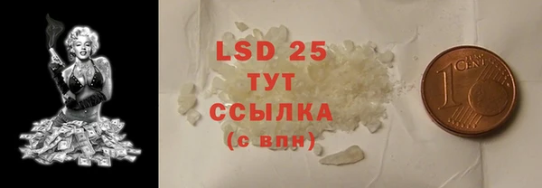 гашик Тавда
