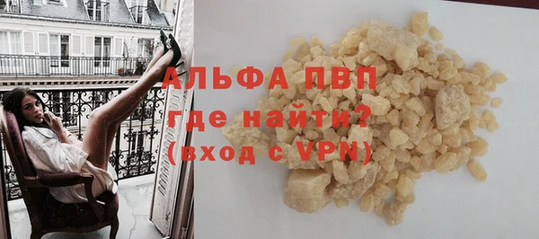 гашик Тавда